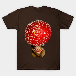 Fly Agaric Mushroom T-Shirt